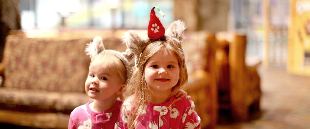 Great Wolf Southern California Resort Garden Grove